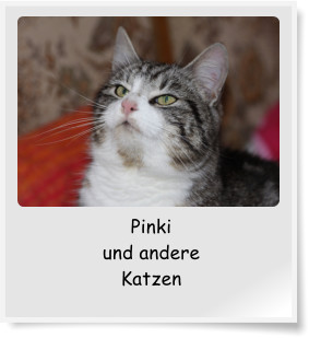 Pinki und andere Katzen